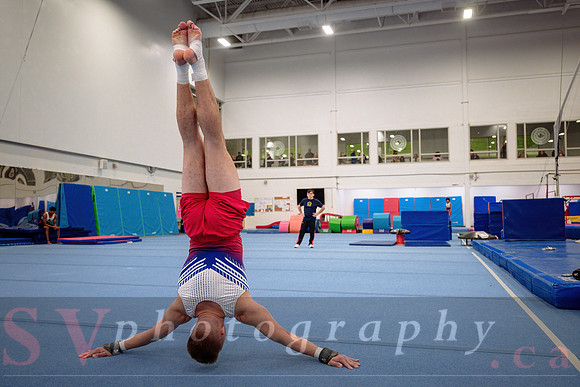 Mississauga Gymnastics