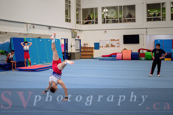 Mississauga Gymnastics