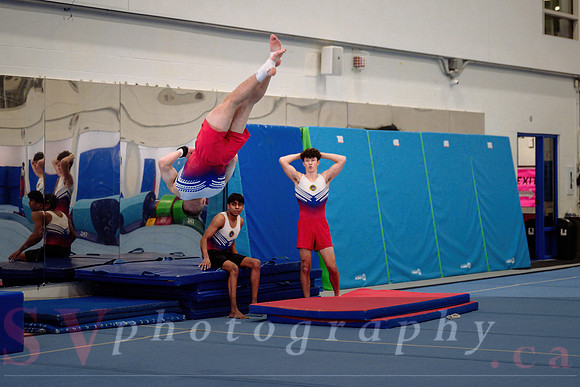 Mississauga Gymnastics