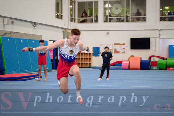 Mississauga Gymnastics