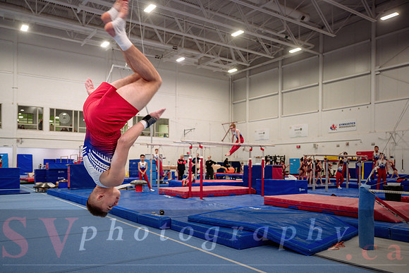 Mississauga Gymnastics