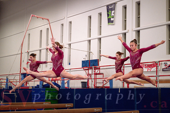 Mississauga Gymnastics