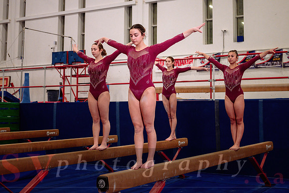 Mississauga Gymnastics