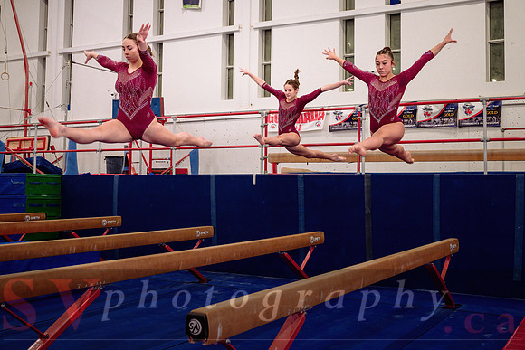 Mississauga Gymnastics