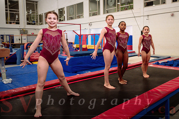 Mississauga Gymnastics