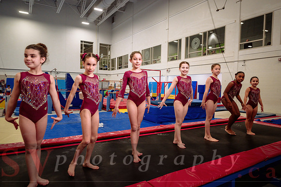 Mississauga Gymnastics