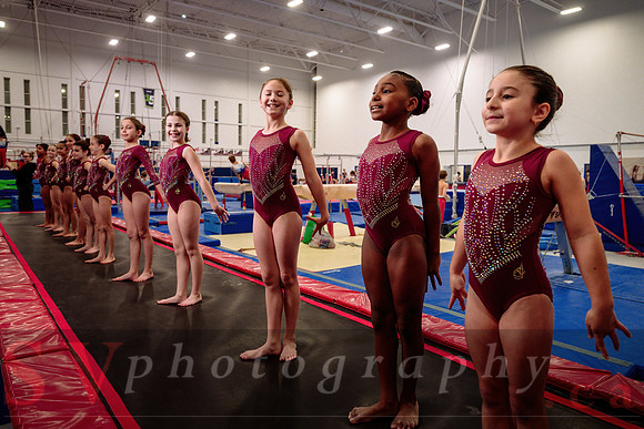 Mississauga Gymnastics
