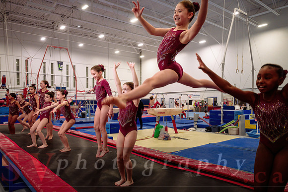 Mississauga Gymnastics