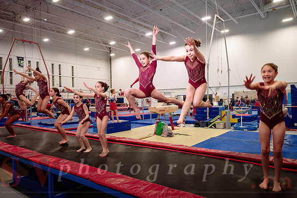 Mississauga Gymnastics