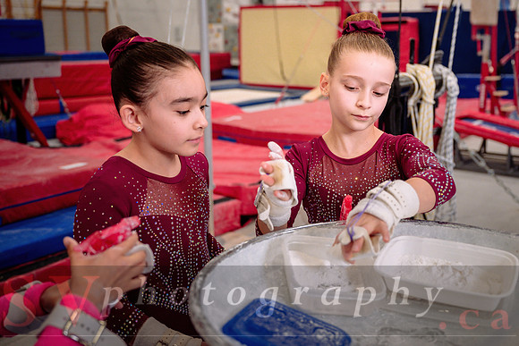 Mississauga Gymnastics
