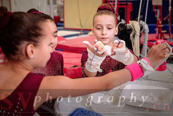 Mississauga Gymnastics