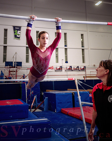 Mississauga Gymnastics