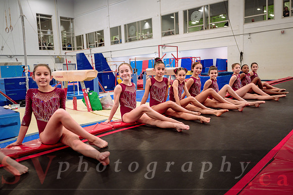 Mississauga Gymnastics
