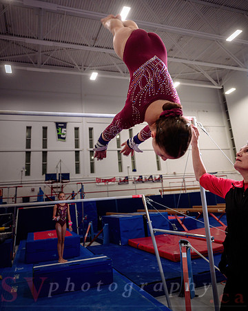 Mississauga Gymnastics