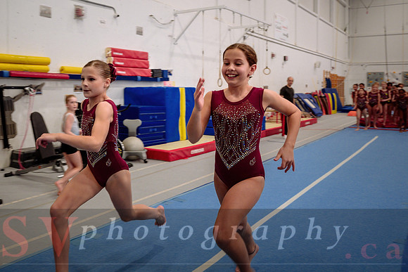 Mississauga Gymnastics