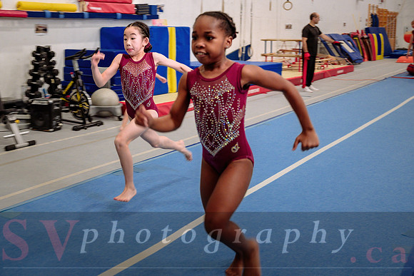 Mississauga Gymnastics