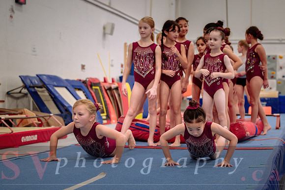 Mississauga Gymnastics