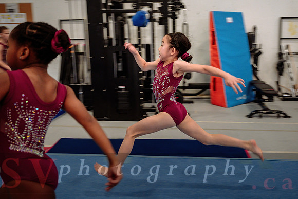 Mississauga Gymnastics