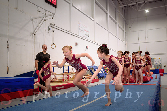 Mississauga Gymnastics