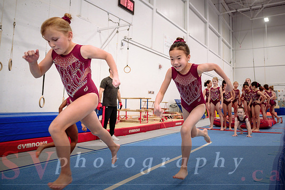 Mississauga Gymnastics