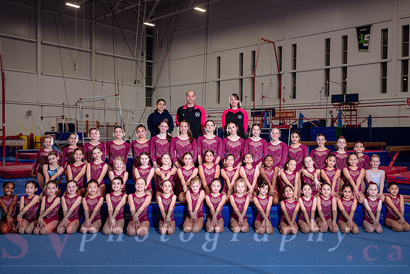Mississauga Gymnastics