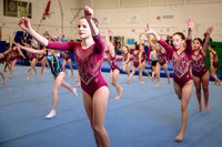 Mississauga Gymnastics
