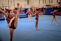 Mississauga Gymnastics
