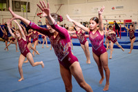 Mississauga Gymnastics