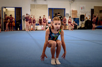 Mississauga Gymnastics