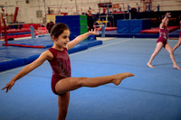 Mississauga Gymnastics