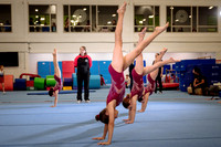 Mississauga Gymnastics