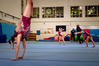 Mississauga Gymnastics