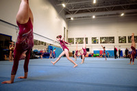 Mississauga Gymnastics