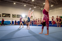 Mississauga Gymnastics