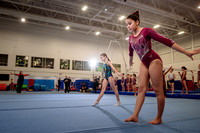 Mississauga Gymnastics
