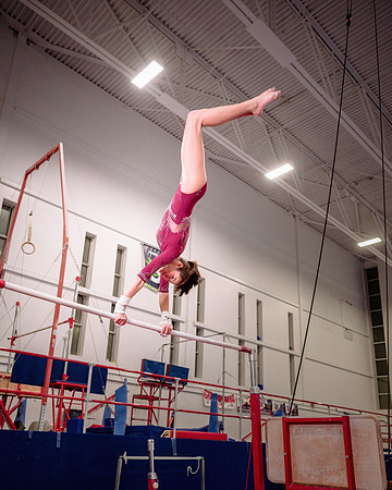 Mississauga Gymnastics