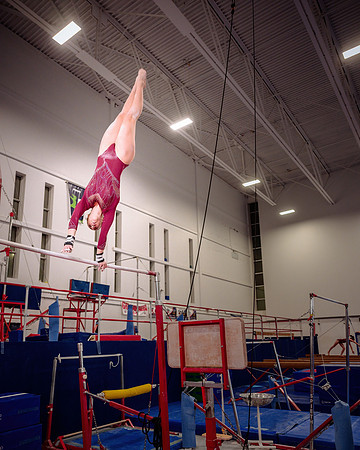 Mississauga Gymnastics