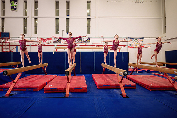 Mississauga Gymnastics