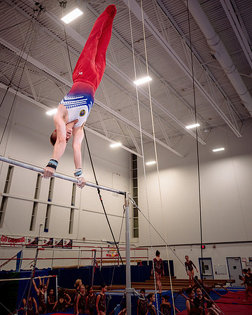 Mississauga Gymnastics