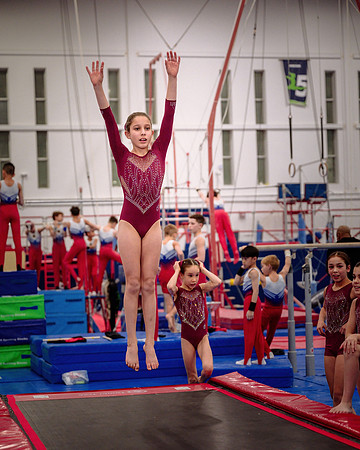 Mississauga Gymnastics