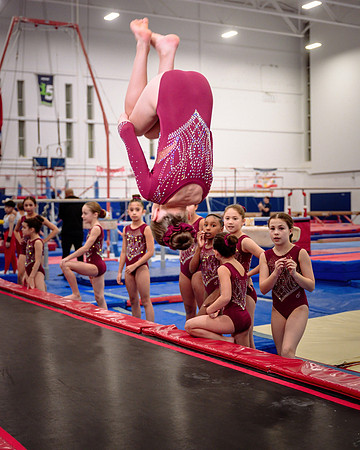 Mississauga Gymnastics