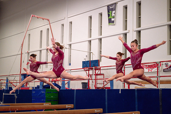 Mississauga Gymnastics