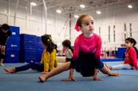 Mississauga Gymnastics