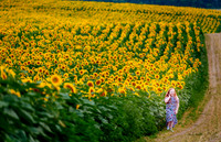 The Farm