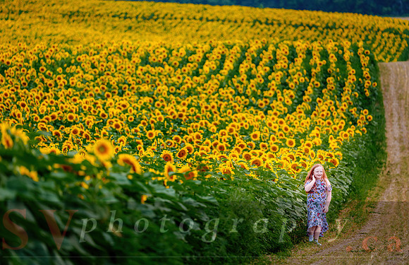 The Farm
