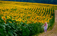 The Farm