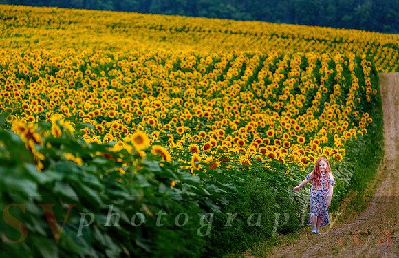 The Farm