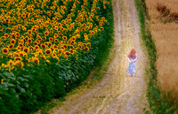 The Farm