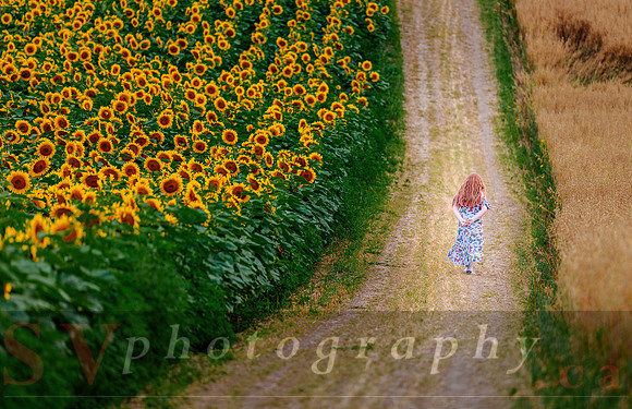 The Farm