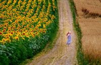 The Farm